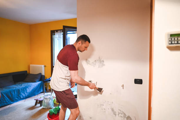 Best Black Mold Removal  in Loves Park, IL